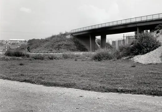 Livadarski put 1968